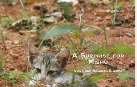 A Surprise For Mishu