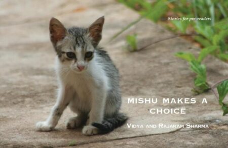 Mishu Makes A Choice