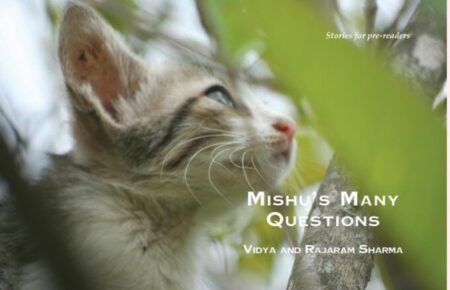 Mishus Many Questions